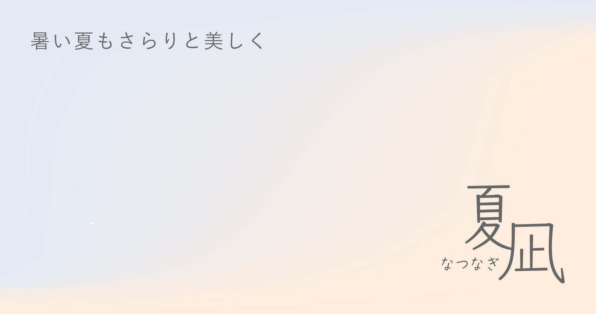 説明テキスト