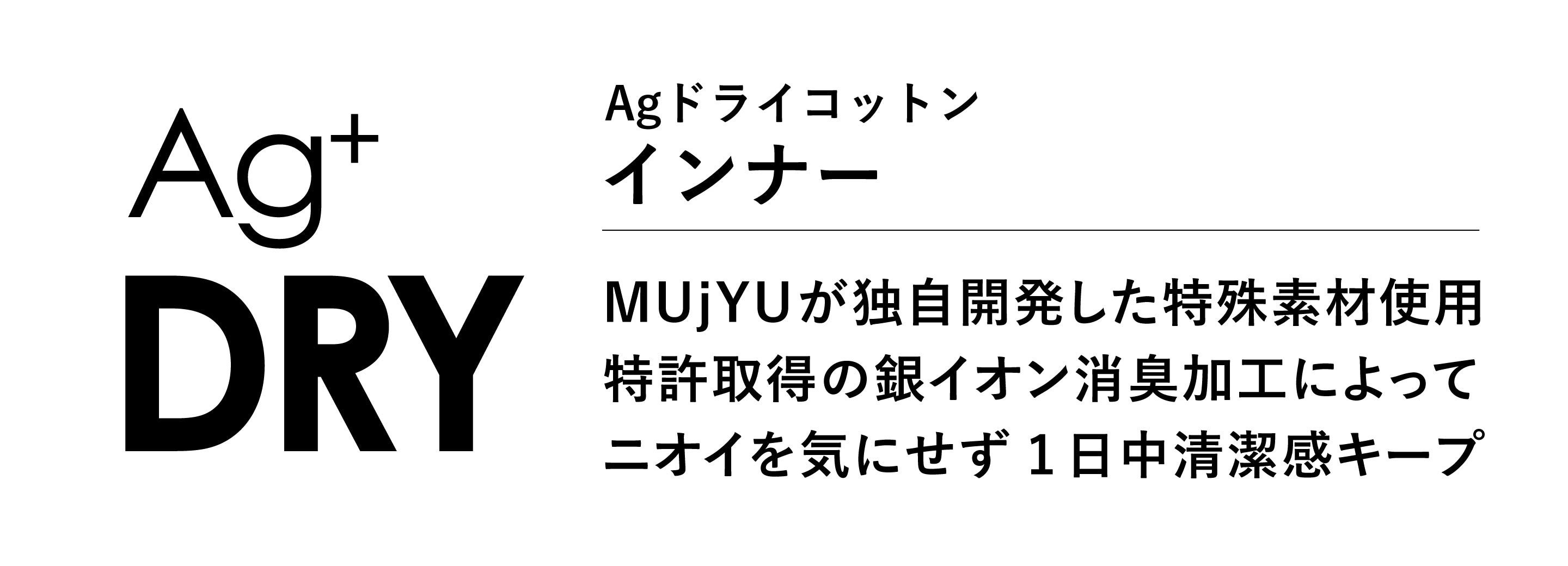 説明テキスト