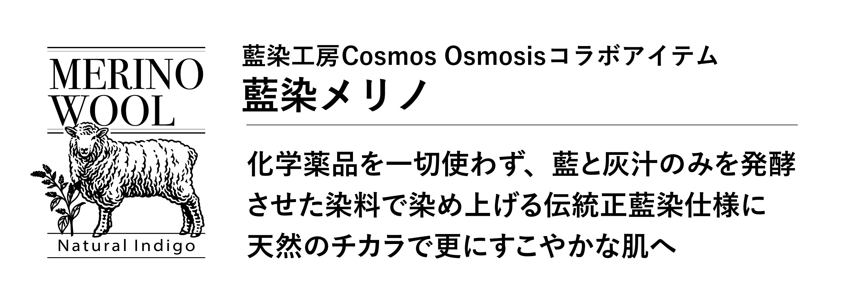 説明テキスト