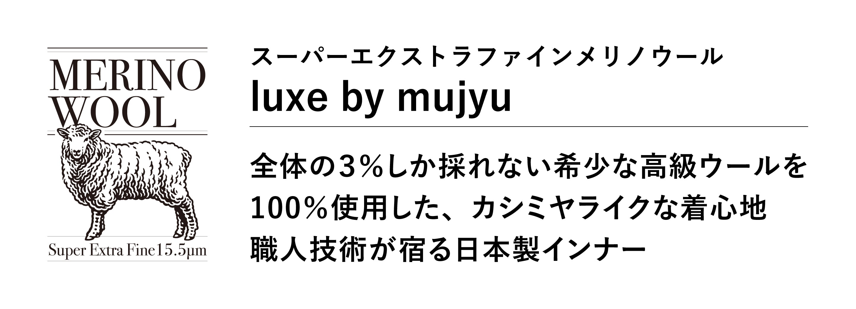 説明テキスト
