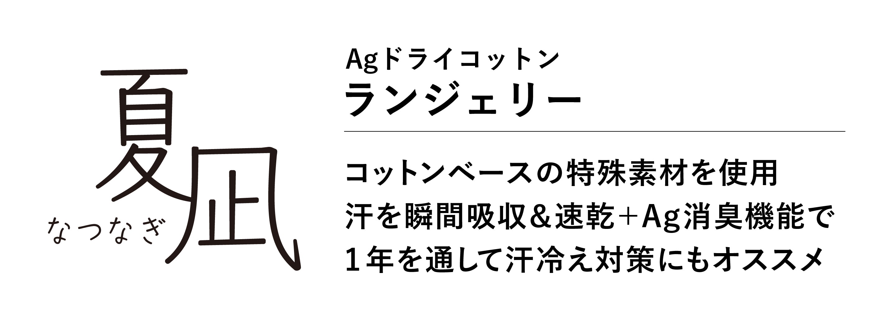 説明テキスト