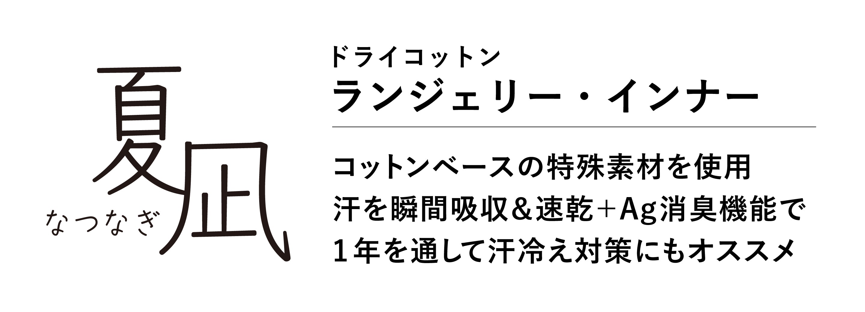 説明テキスト