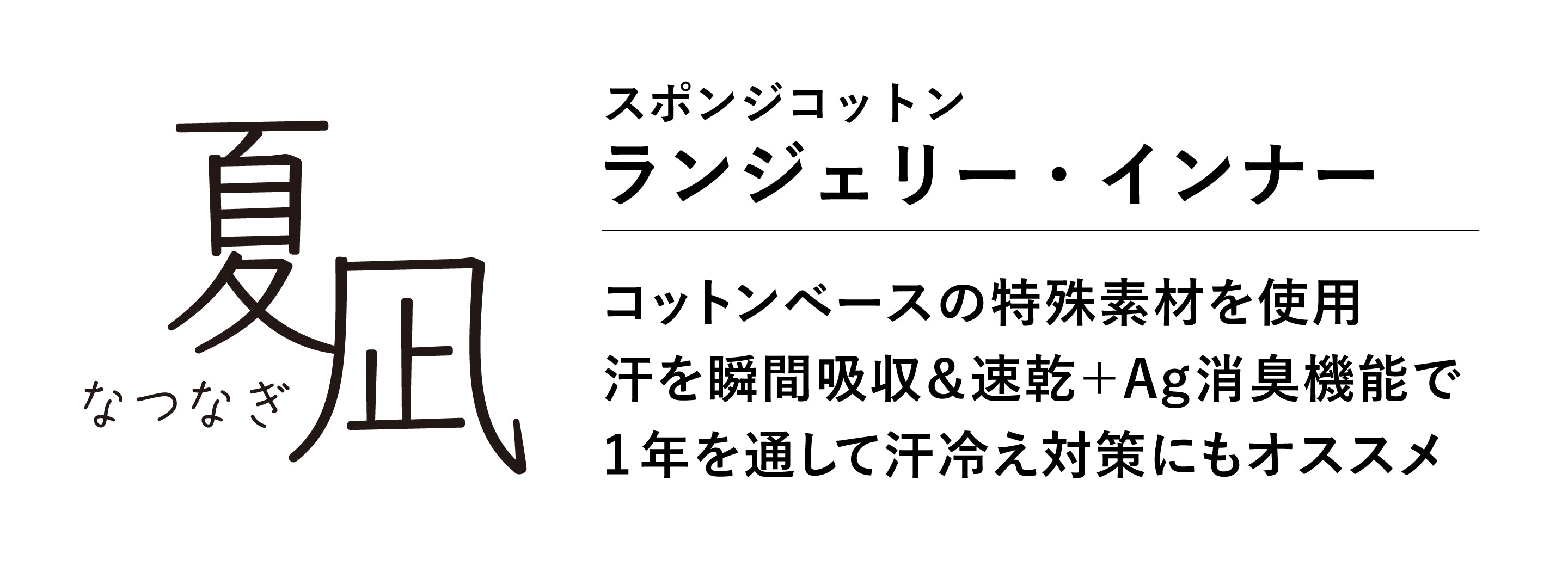 説明テキスト