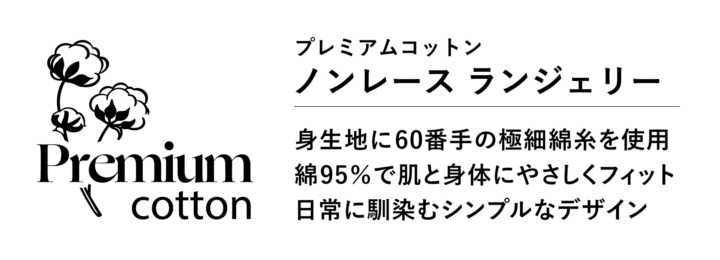 説明テキスト