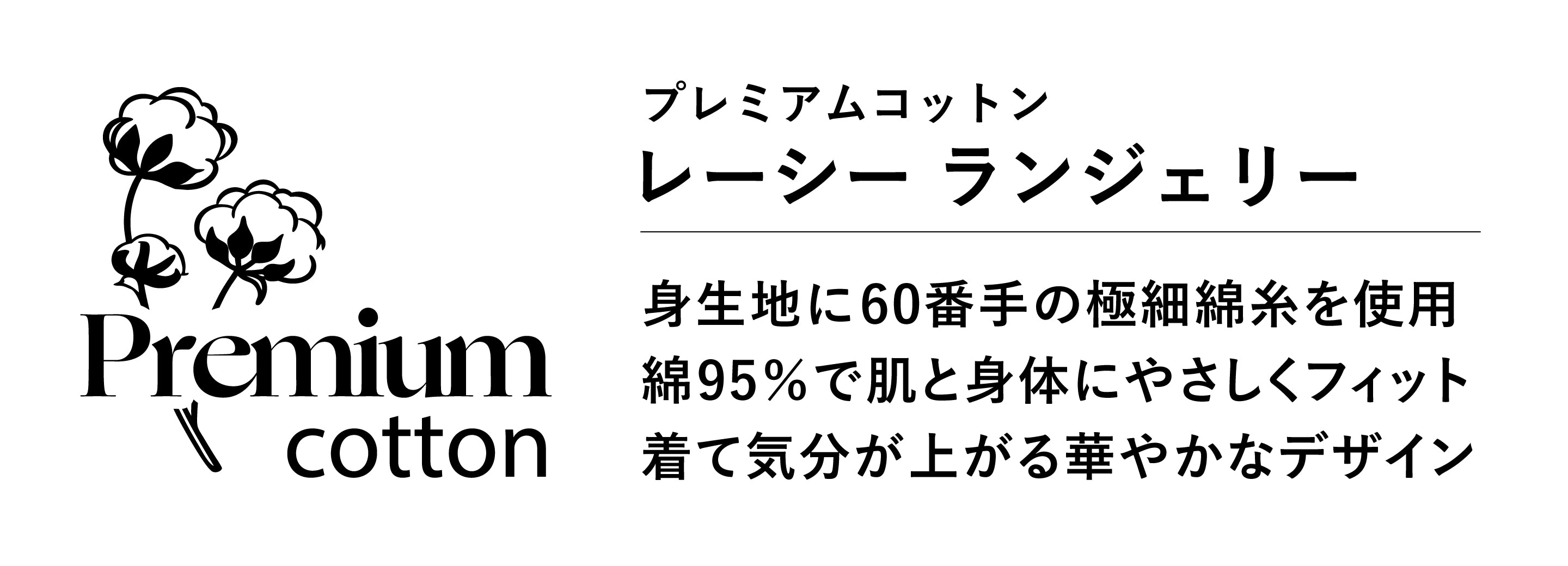 説明テキスト